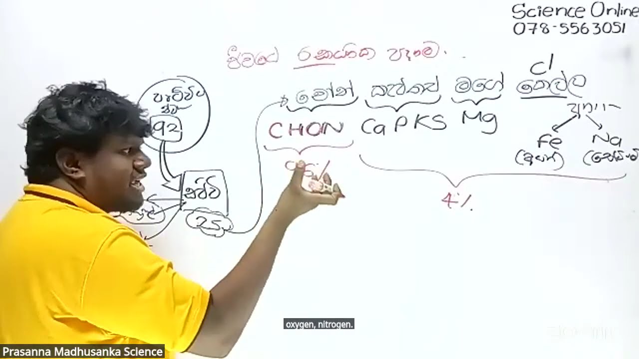 🔴LIVE | දවස් 35 මෙහෙයුම | Day 01 