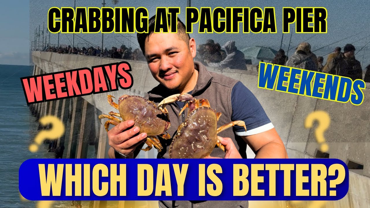 Which Day is Better for Crabbing? Pacifica Pier Friday vs Saturday!