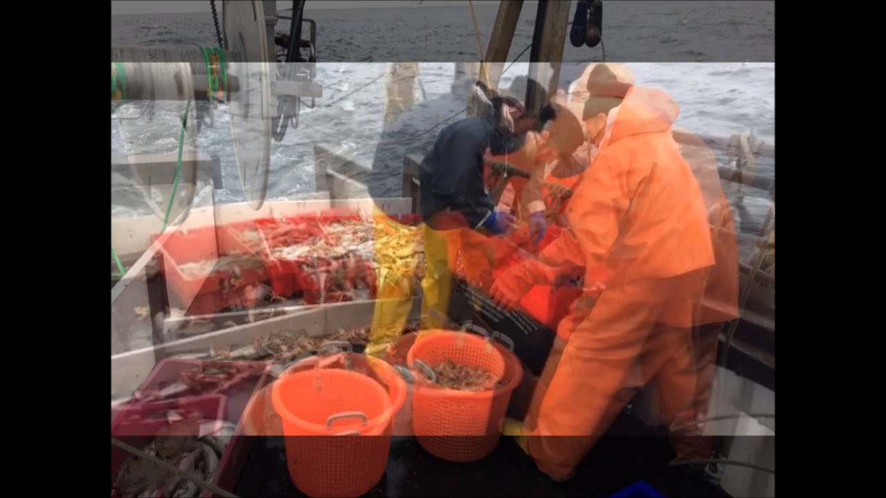 PRAWN TRAWLING SCOTLAND aboard Hawthorn FR25 (Go-Pro)