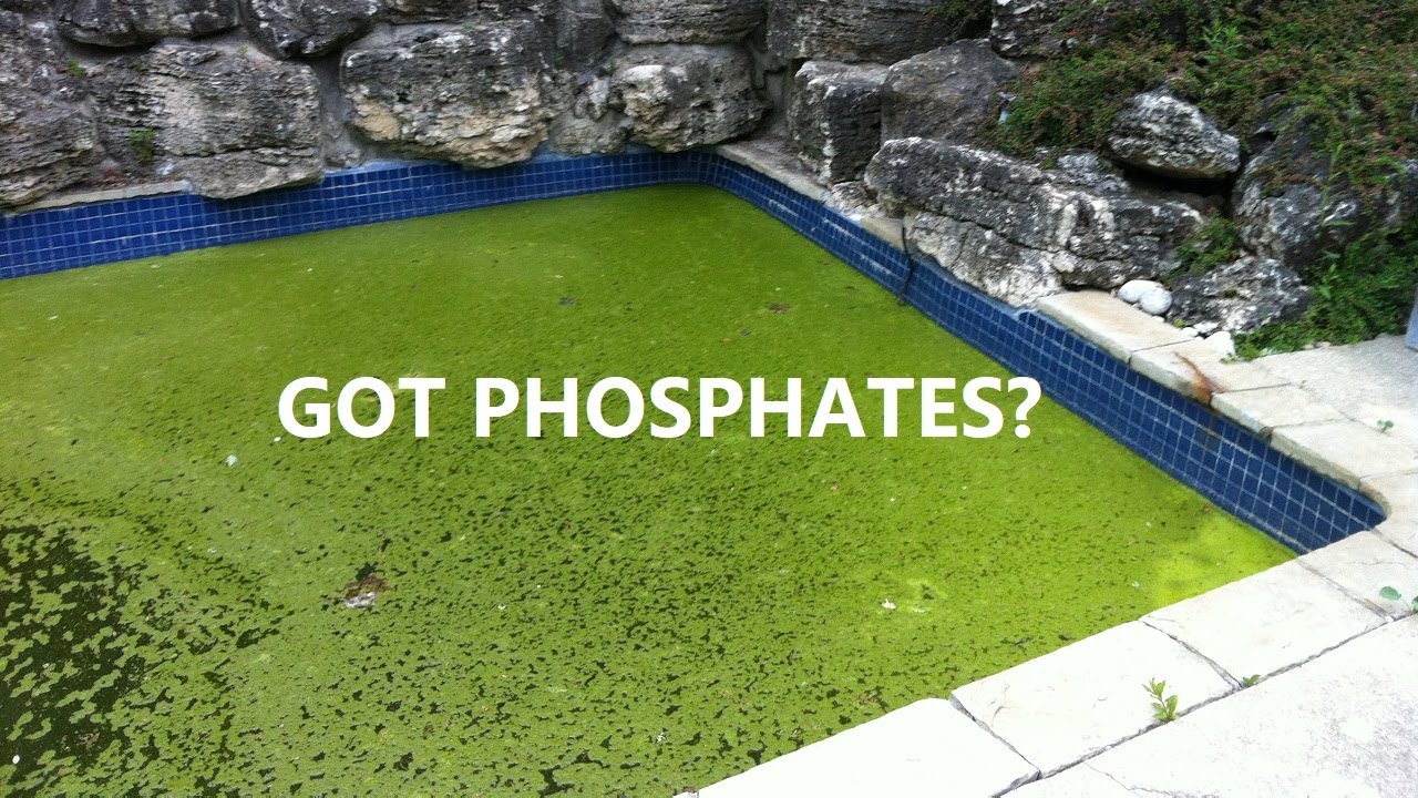 Phosphates In Pool Water