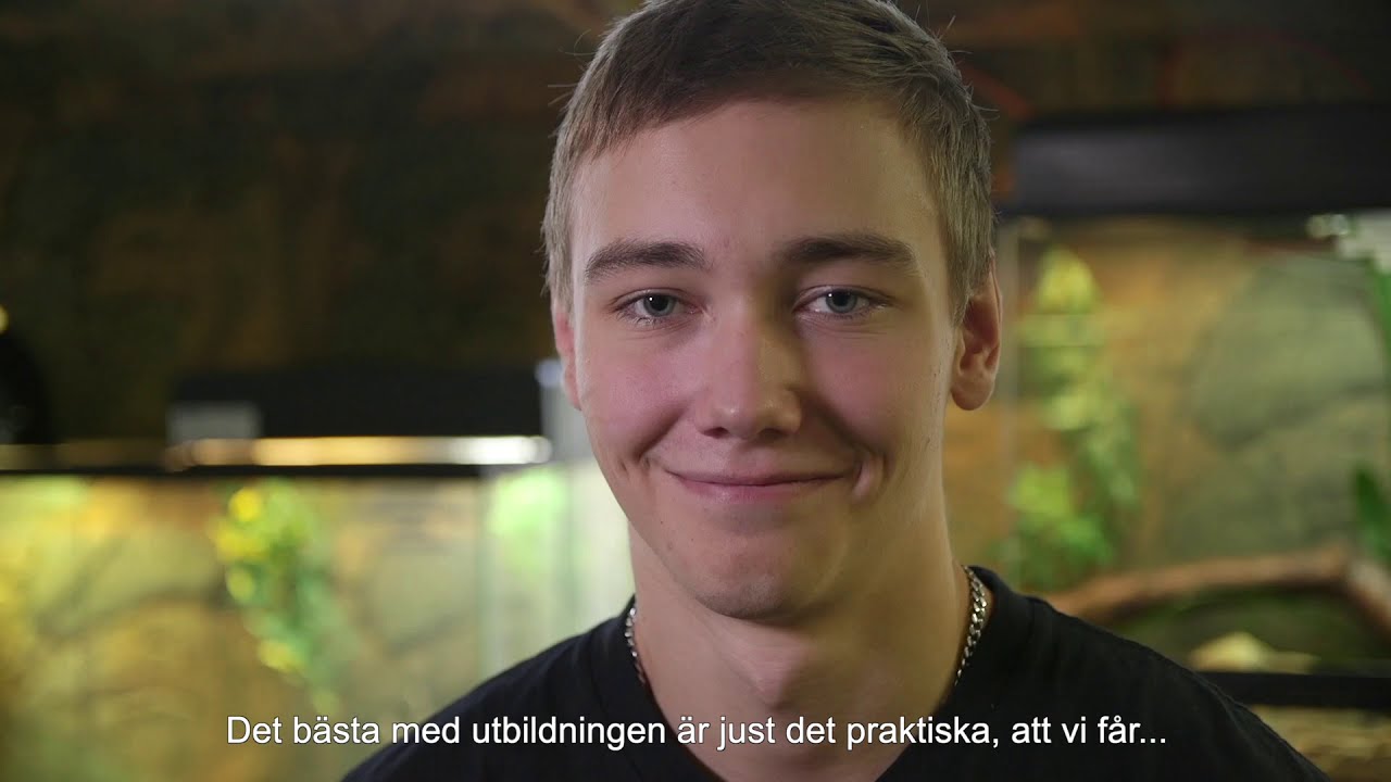 Sällskapsdjur & Djursjukvård på Realgymnasiet