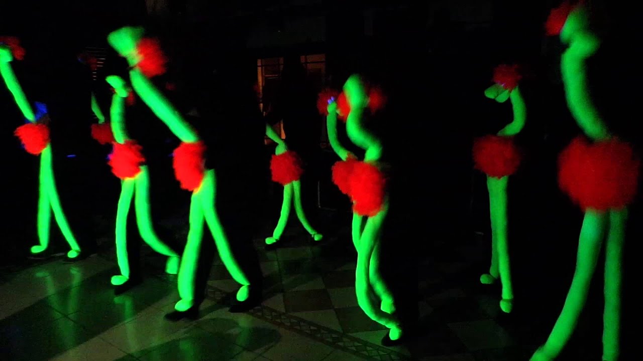 Schwarzlicht Vogel Strauß MOV Hochzeit