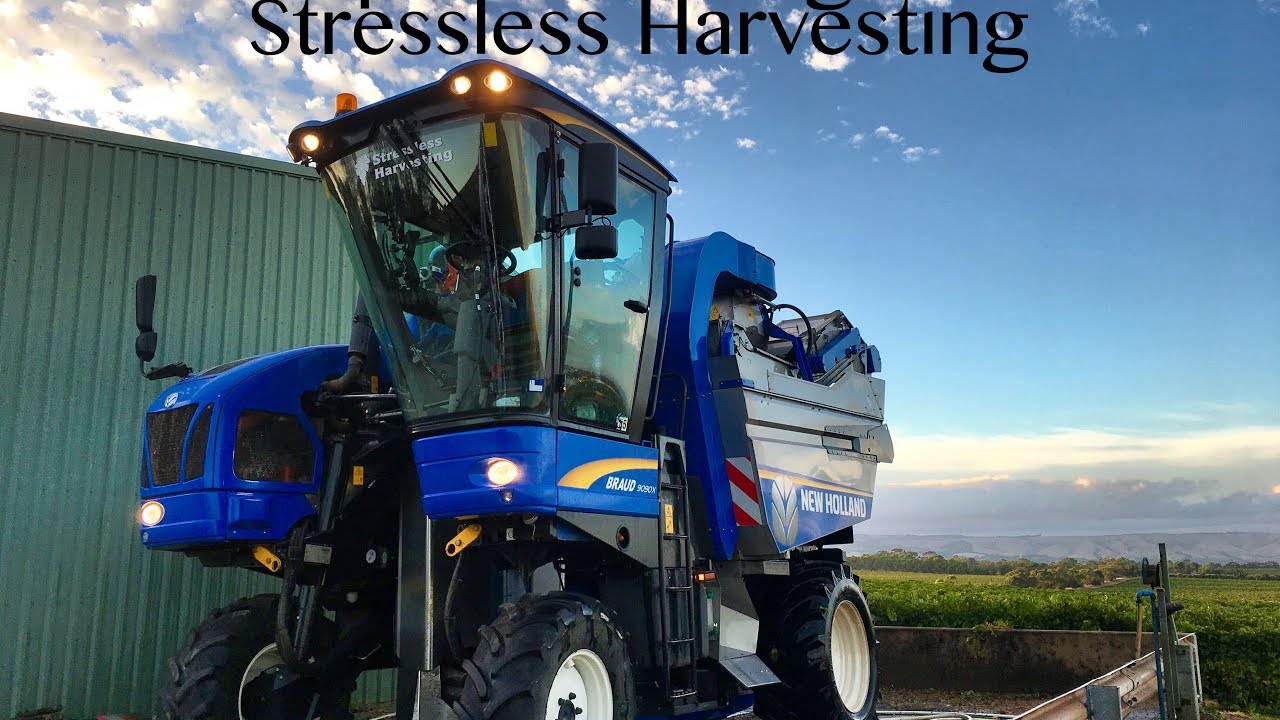 Stressless harvesting - Grape harvest 2017