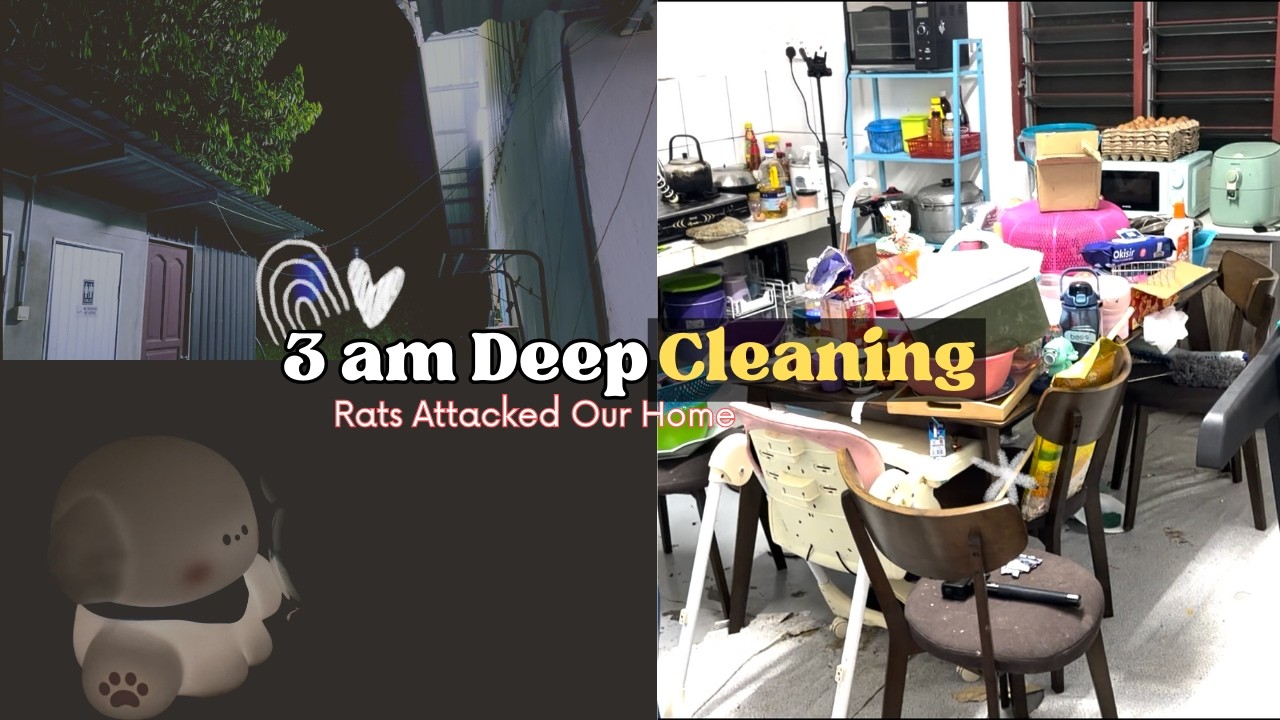 🐀Waking Up at 3AM for a Deep Kitchen Clean After Rats | ASMR Quiet Time & 2026 Reset 🌙🧹