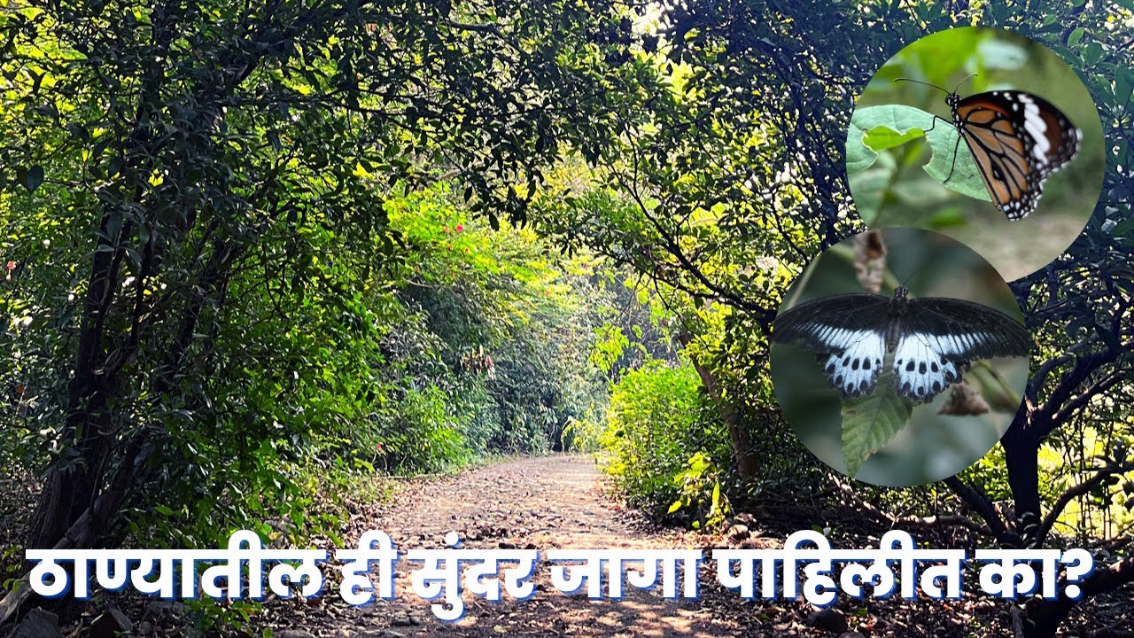 ठाण्यातील ही सुंदर जागा पाहिलीत का ? | Unseen places in thane | #thane#unseenplaces#shraddhaparab