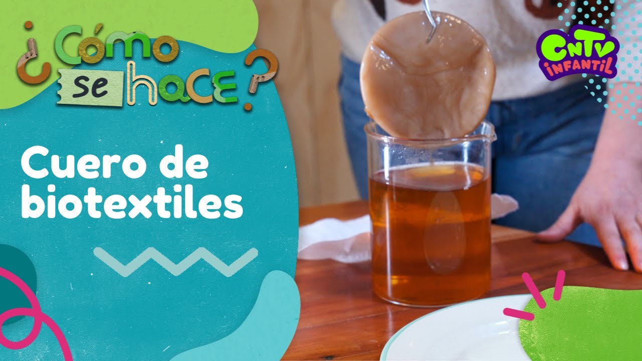Cuero de biotextiles ¿Cómo se hace? T2