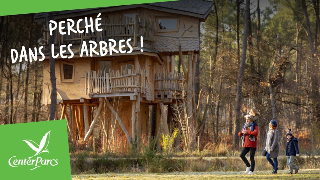 Prendre de la hauteur: Hébergement Insolite dans les Arbres ! | Les Hébergements | Center Parcs