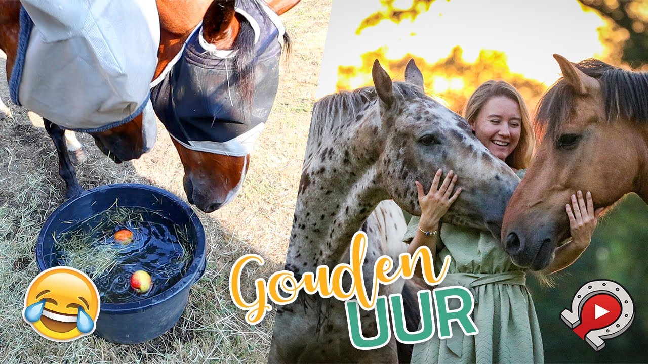 Veulentjes bezoeken & appels happen met paarden! | felinehoi YT week 2020 #5