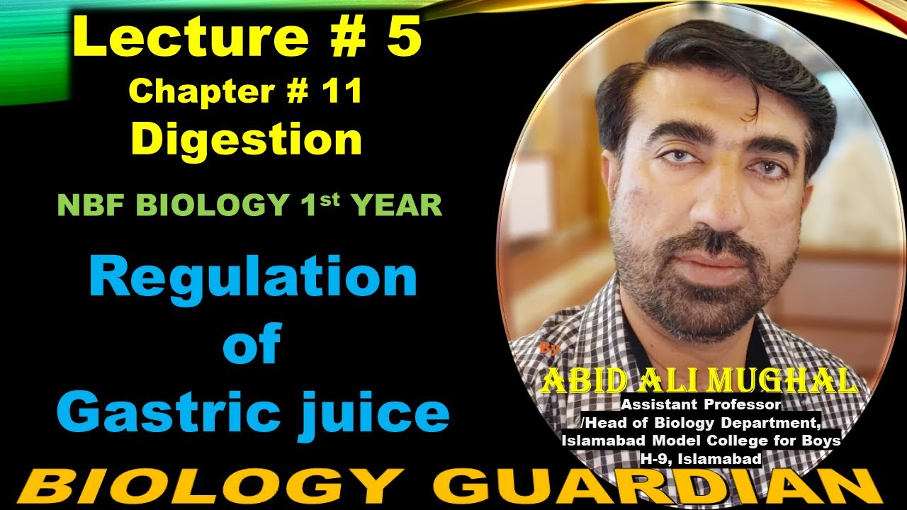 Role of Nervous System and Hormones in Regulation of Gastric Secretions Lecture 5 Ch 11
