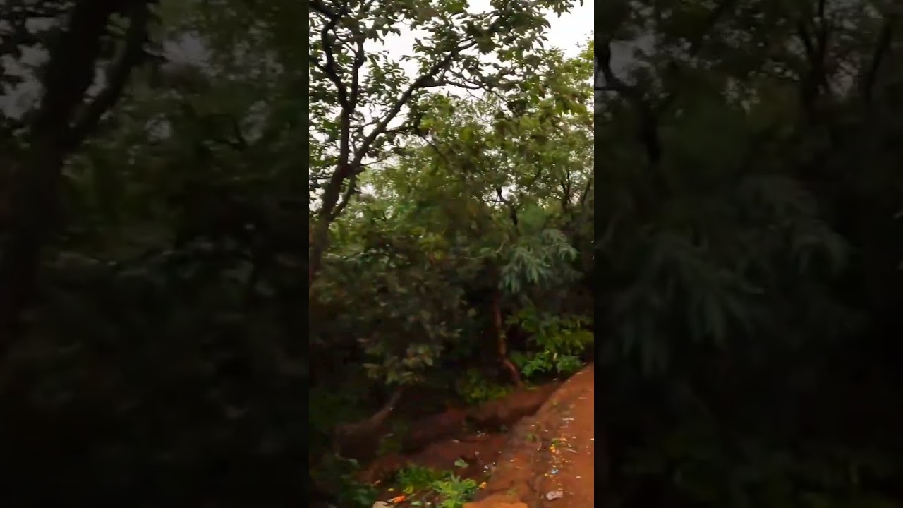 Love Birds..At Ananthagiri Hills