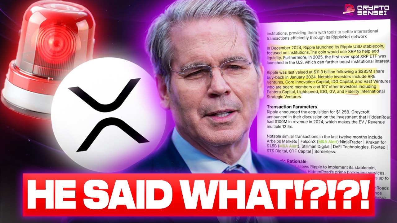 US TREASURER JUST DROPPED A BOMB (XRP Is the Future...)