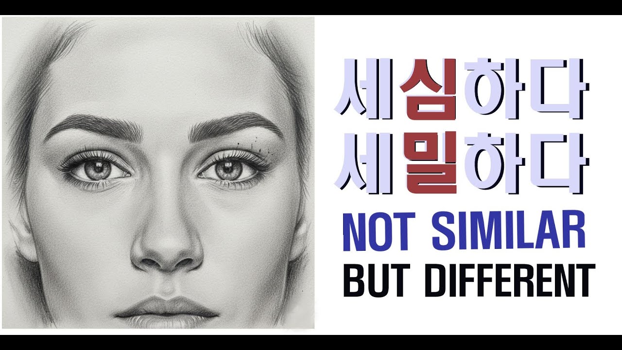 Study the difference between 세심하다 and 세밀하다