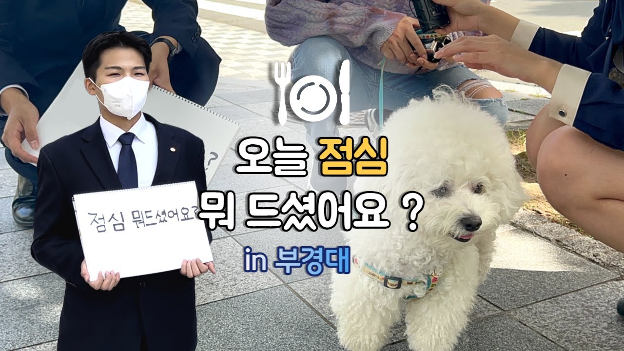 식사는 잡쉈어? | 부경대생은 점심으로 뭘 먹을까? |