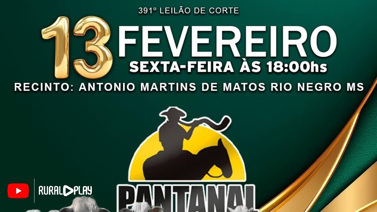 391° LEILÃO DE CORTE PANTANAL LEILÕES - RIO NEGRO/MS - RURAL PLAY