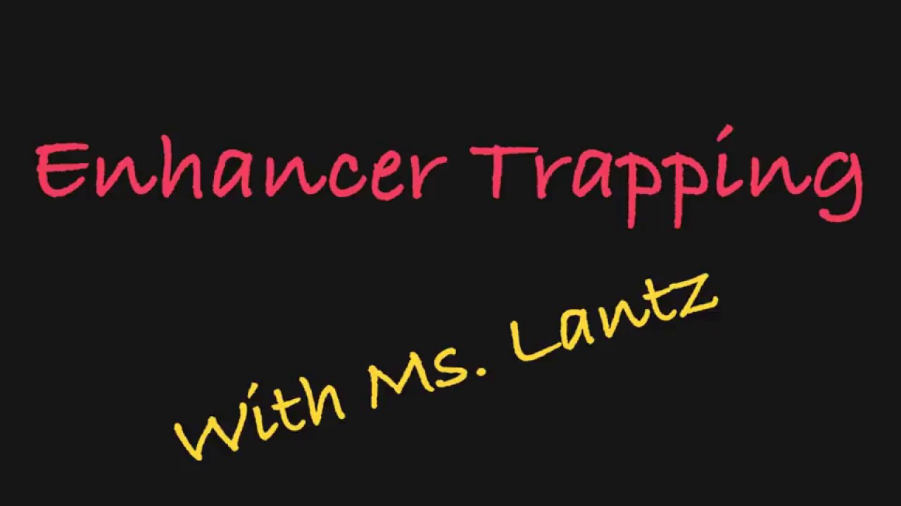 Enhancer Trapping Explained