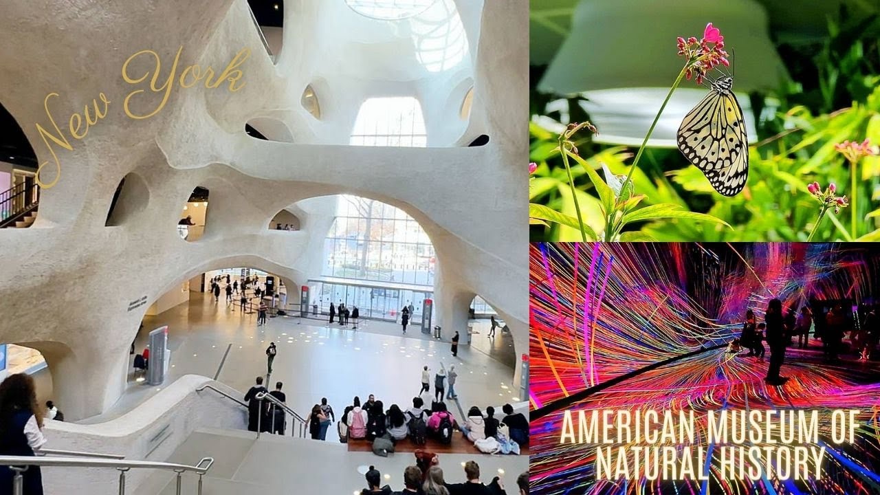 American Museum of Natural History New York Invisible Worlds & Butterfly Vivarium AMNH Tour