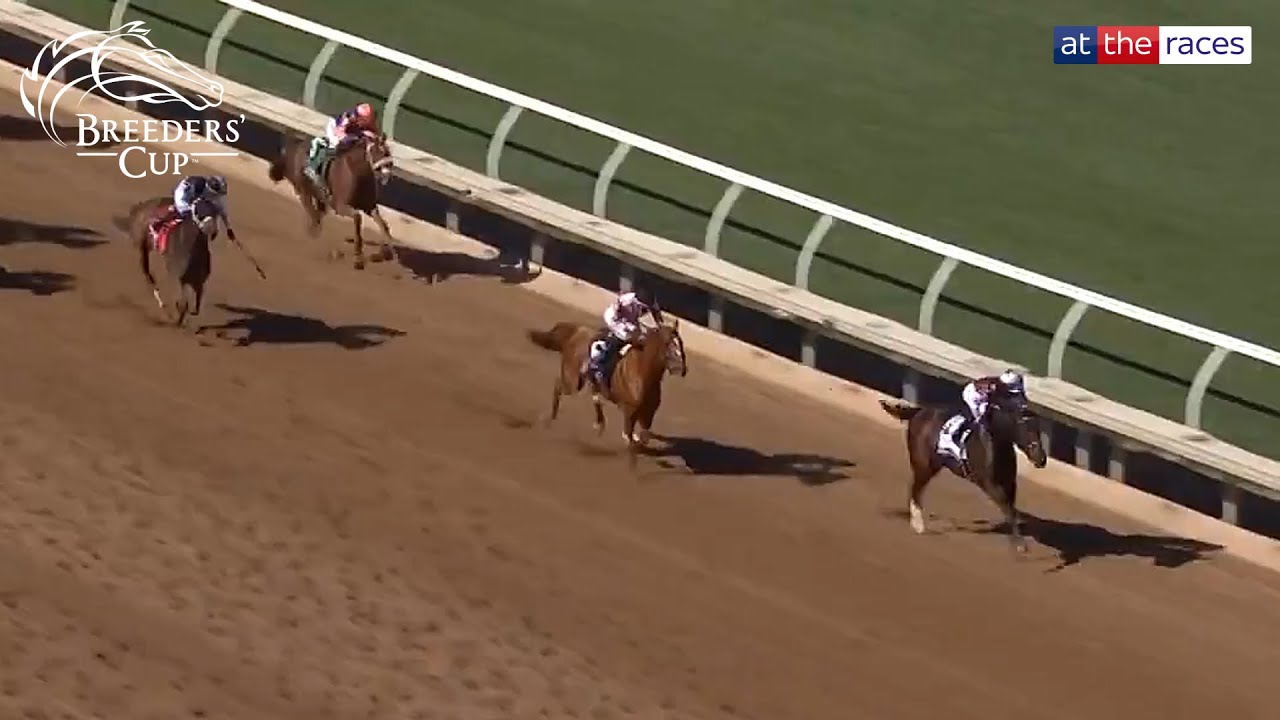 THORPEDO ANNA rockets to Breeders' Cup Distaff 2024 victory for Kenny McPeek!