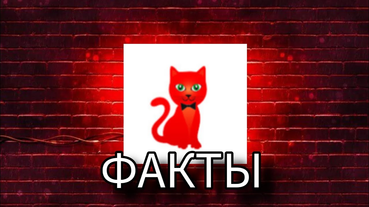 40 ФАКТОВ О RED CAT (@RedCatYT)