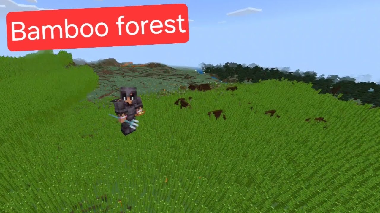Building and Growing the Bamboo Forest