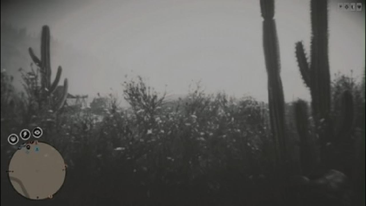 Red Dead Redemption 2_20260314201046