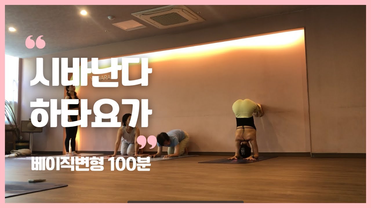 시바난다하타요가-베이직변형100분