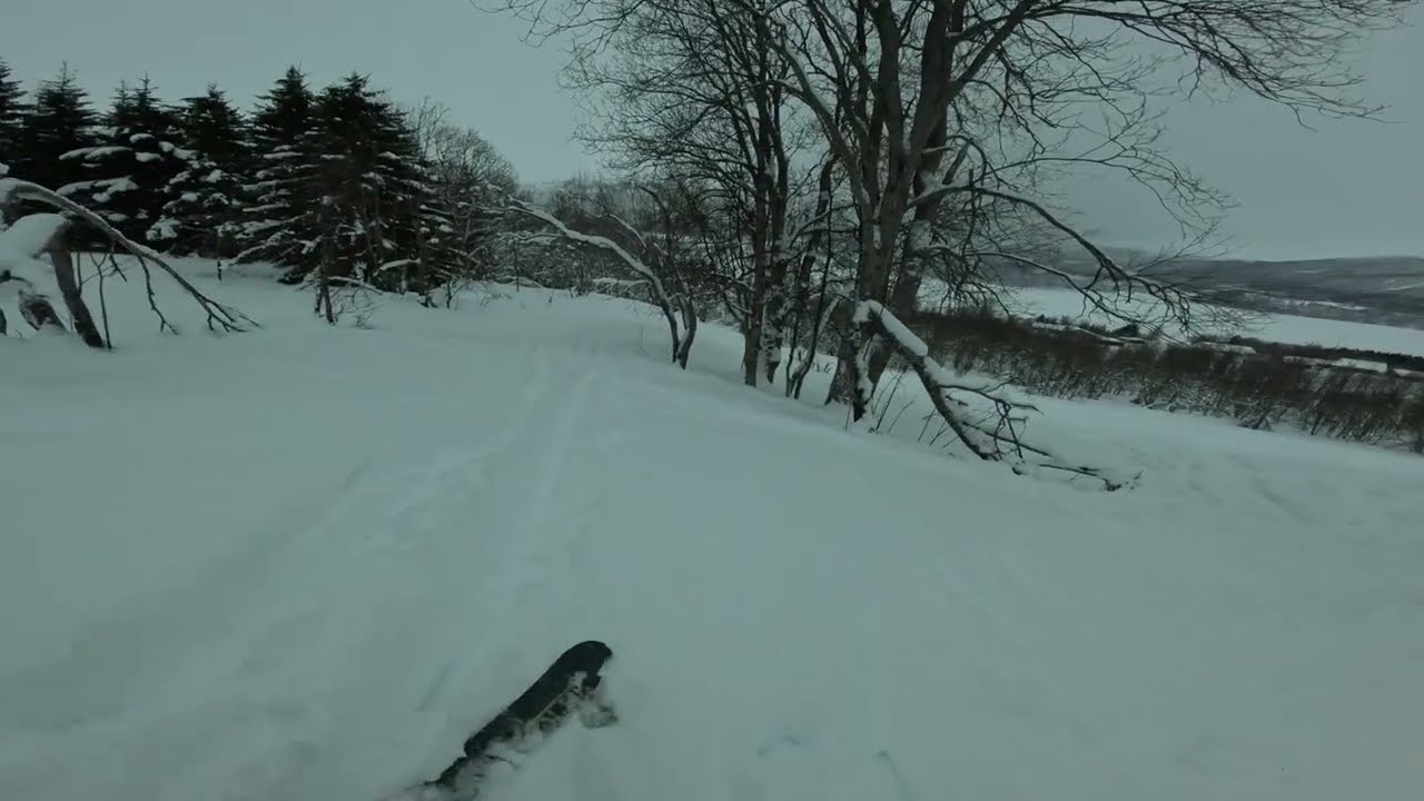 @paltto403 and @Svingbakken-racingteam ripping through the woods on skis!