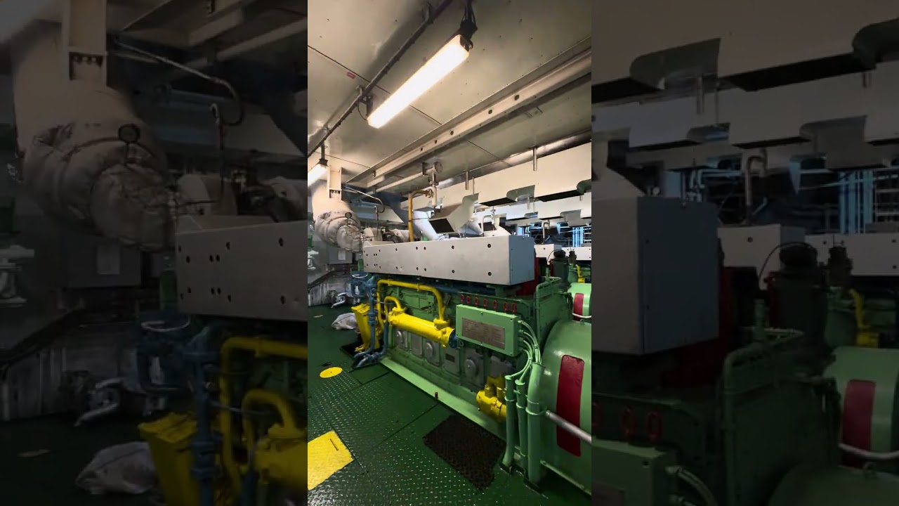 DEVASA GEMİNİN KALBİ ❤️😱