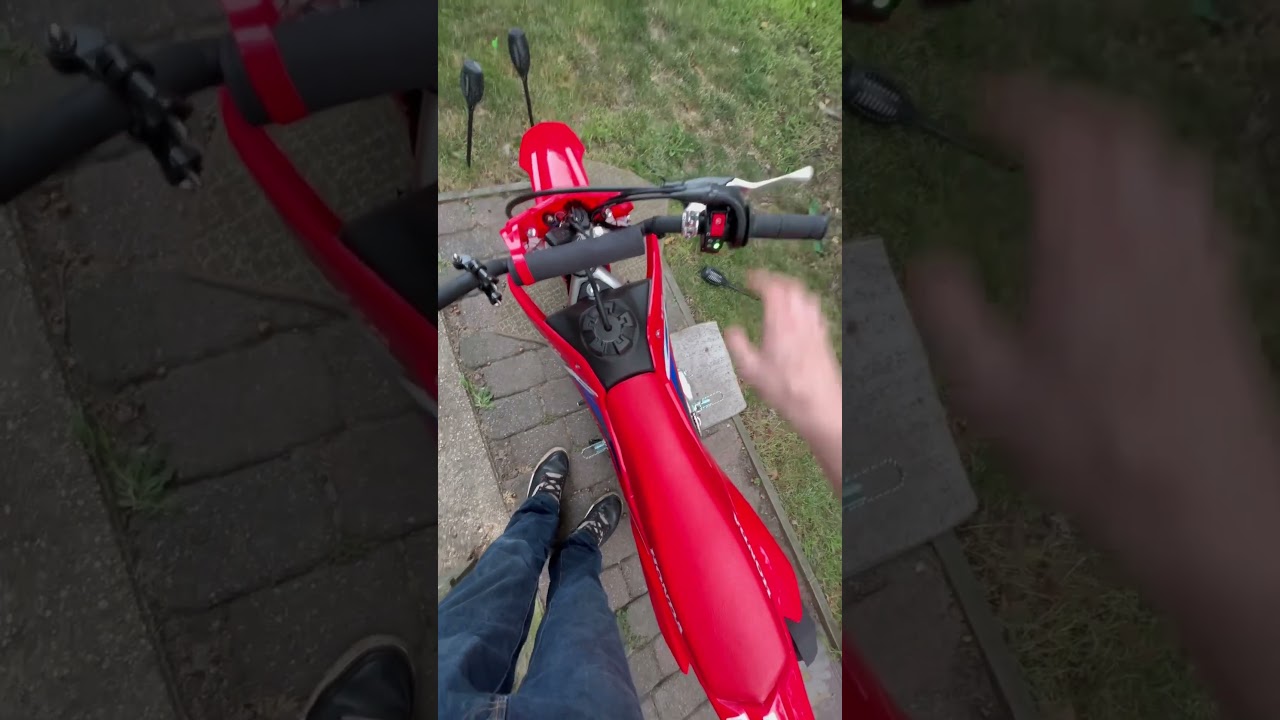 2023 Honda crf 110 morning cold start #crf110 #motorcycle #crf #bikelife #honda #pitbike