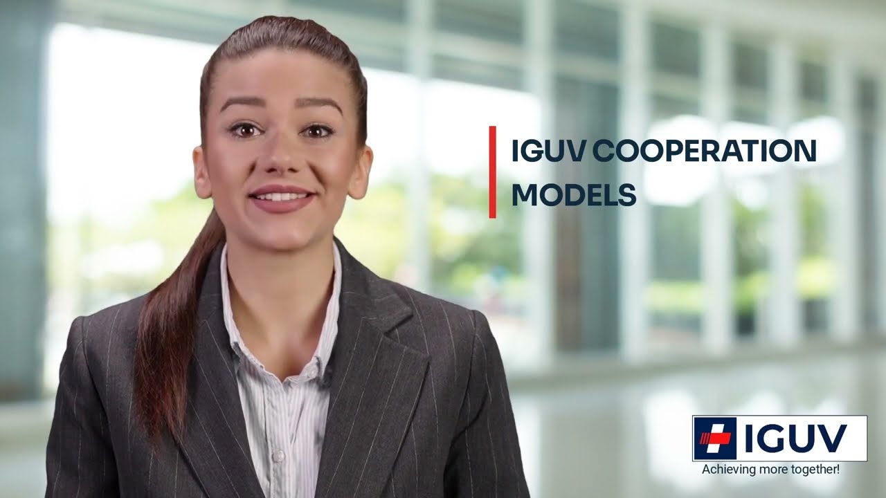 IGUV cooperation models - E