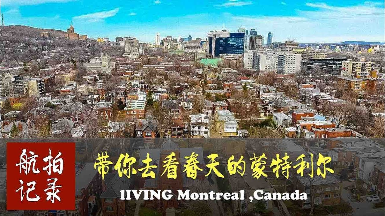 步行两小时带你去看蒙特利尔的春天SONYA7R3、16-35GM、智云云鹤2稳定器，walk montreal 2019-4-22