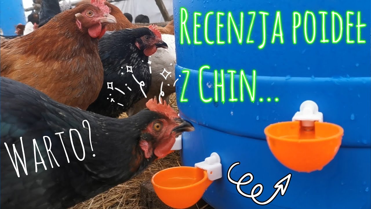 Recenzja poideł z Chin za 5 zł - na beczkę 120 l. - czy to działa? - #20