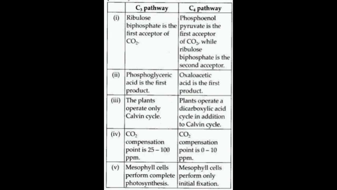 Most important difference between C3 & C4 pathways #imp #neet #biology