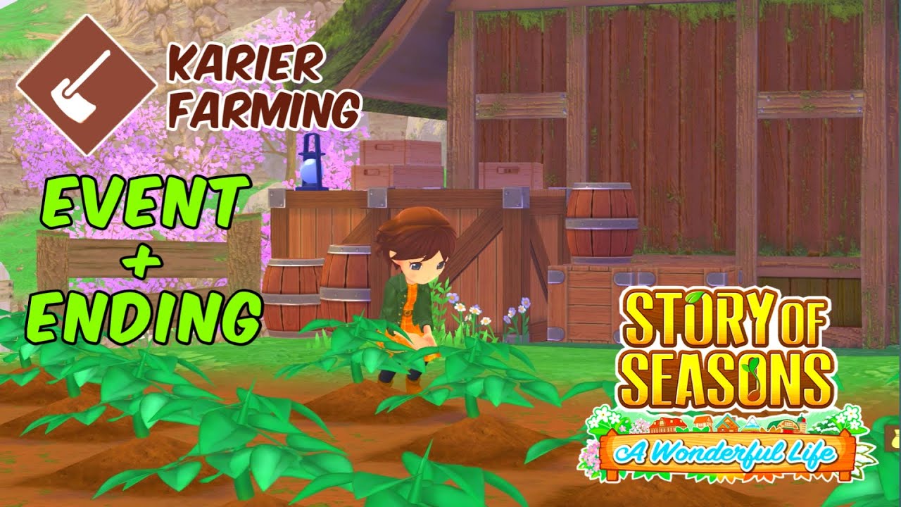 FOKUS KARIR ANAK BIDANG RANCHING (PETERNAK) | STORY OF SEASONS : A WONDERFUL LIFE