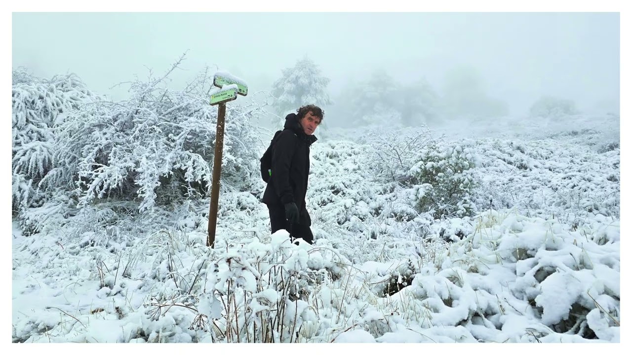 20251223 - Silleta con nieve