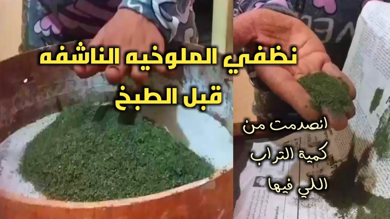 طريقة تنظيف الملوخيه الناشفه مع ام عبير