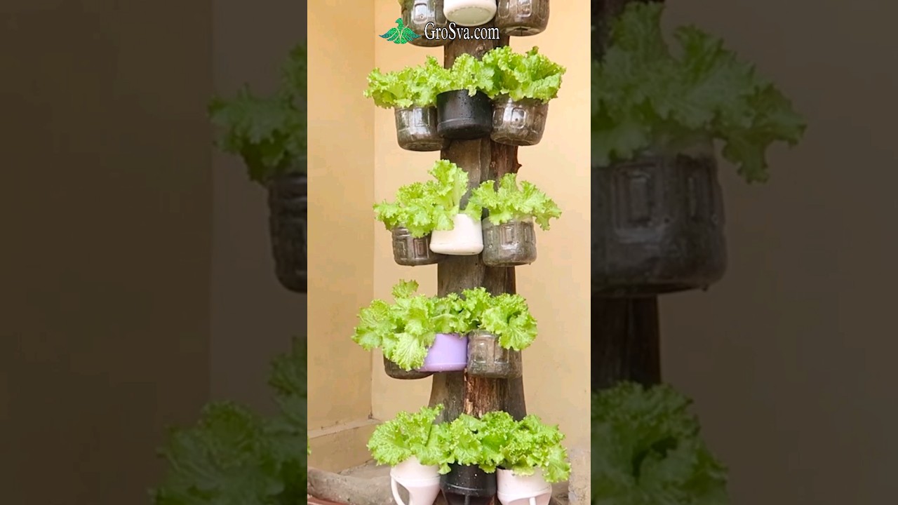 Gardening Ideas for Small Space || Vertical Gardening
