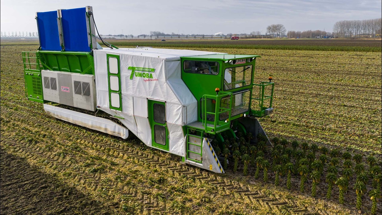 Brussels sprout harvest robot, new combine & more | Franzen Agriculture | Harvest 2025