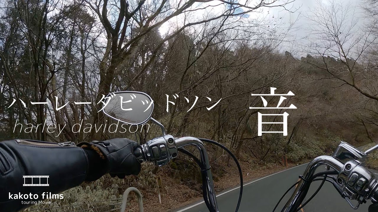 【高音質】ハーレーダビッドソンのエンジン音と三拍子 【High sound quality】Harley Davidson Engine Sound