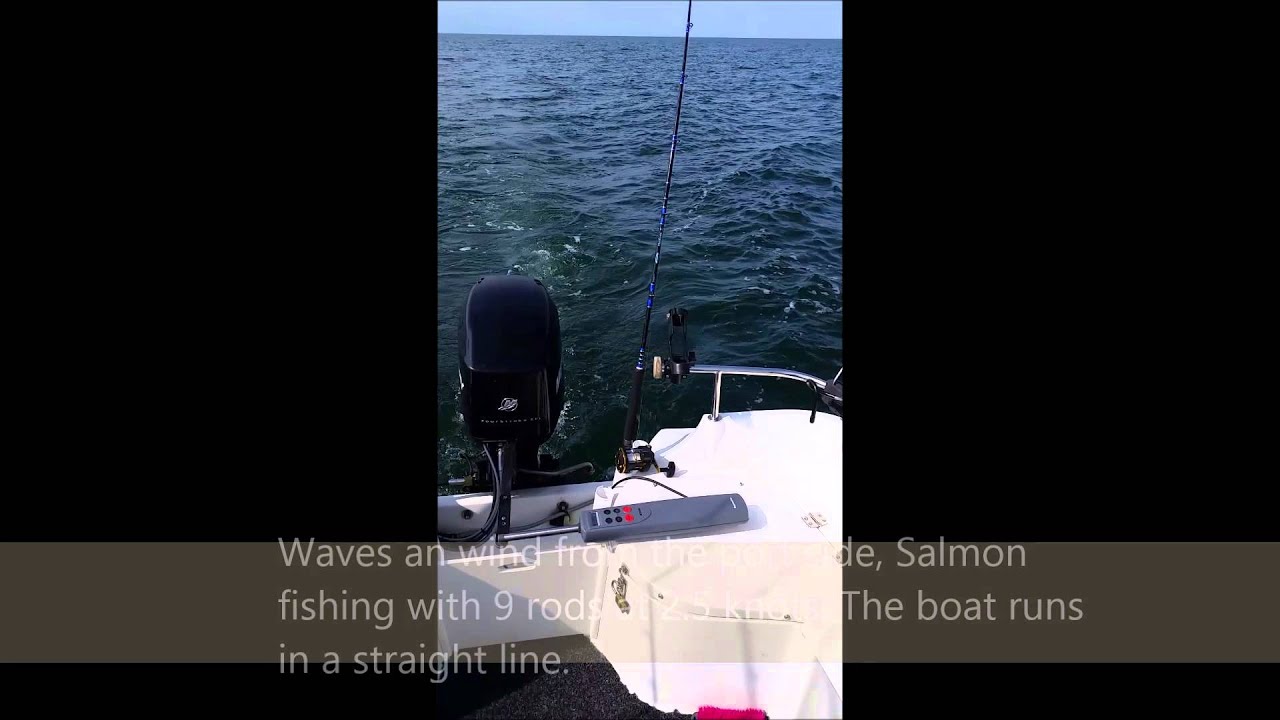 Raymarine Tiller Autopilot Outboard Homemade