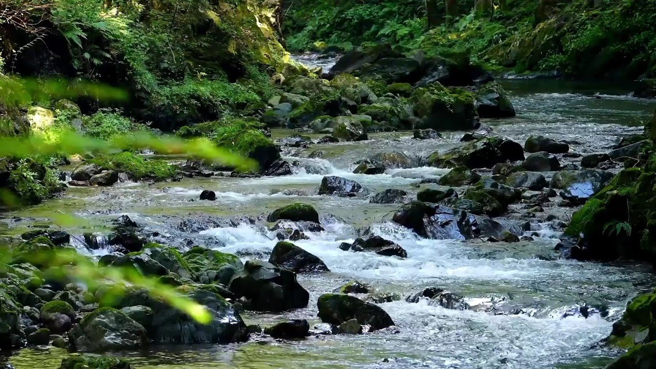 Nature, mountain waterfalls, and listening to relaxing therapeutic music#relaxingmusic 