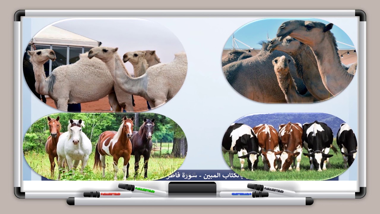 تفسير  القرآن الكريم   الصف التاسع   الدرس ٦