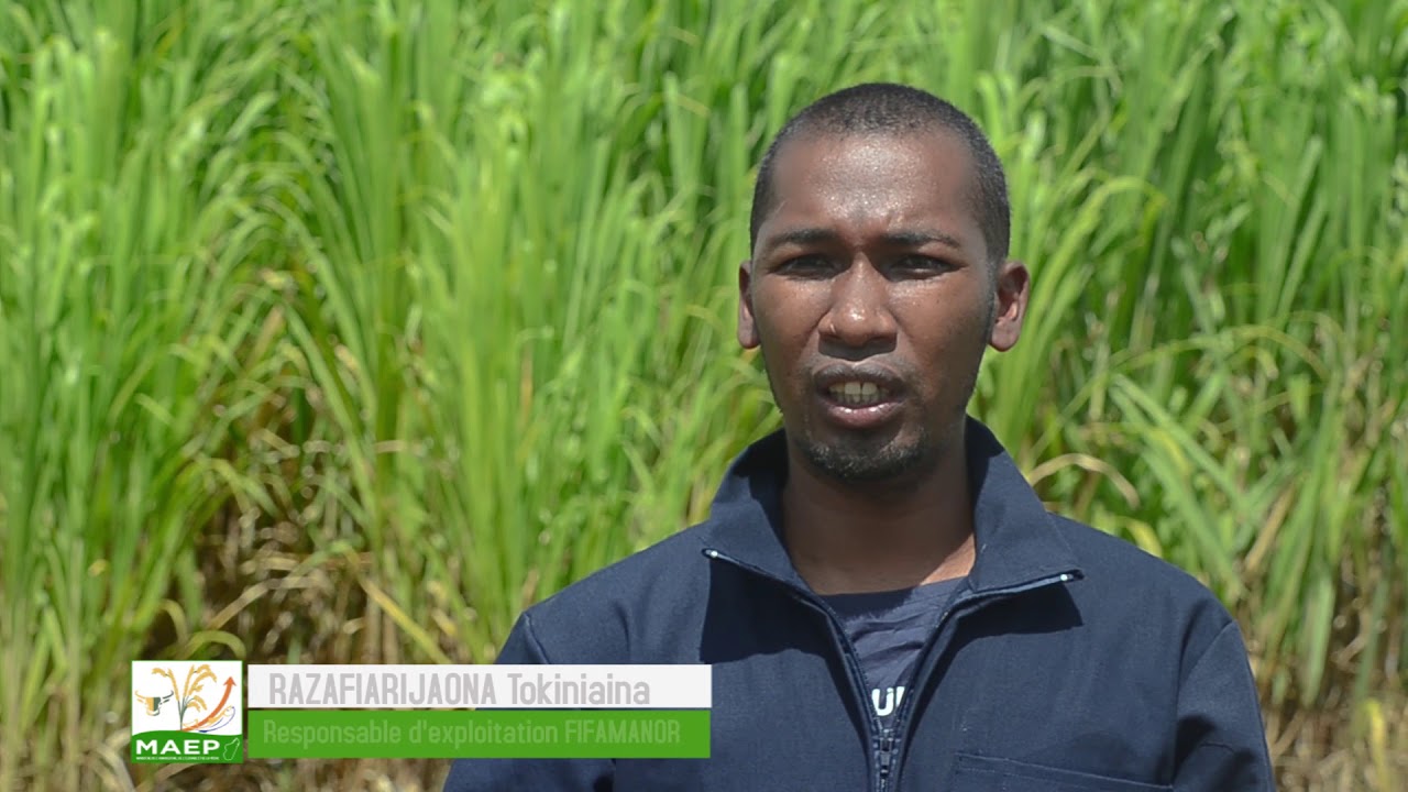 LE PROJET JUNCAO A MADAGASCAR  l