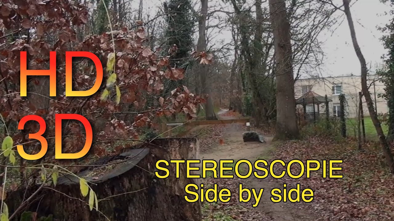 2025 - HD 3D - ALLONNES   Promenade matinale -19 décembre