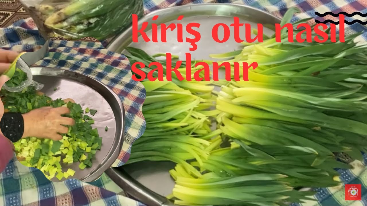 En güzeli bu yöntem _ Kiriş Otu Nasıl Dondurucuda Saklanır