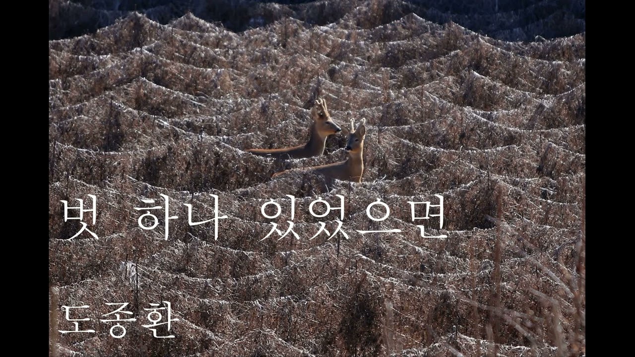 벗 하나 있었으면/도종환 시