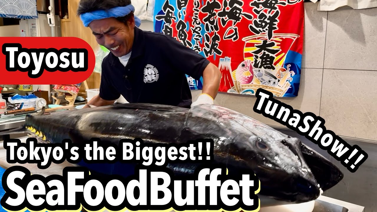 Toyosu Fish Market Buffet in Tokyo | Fresh Seafood All-You-Can-Eat Experience 🇯🇵✨