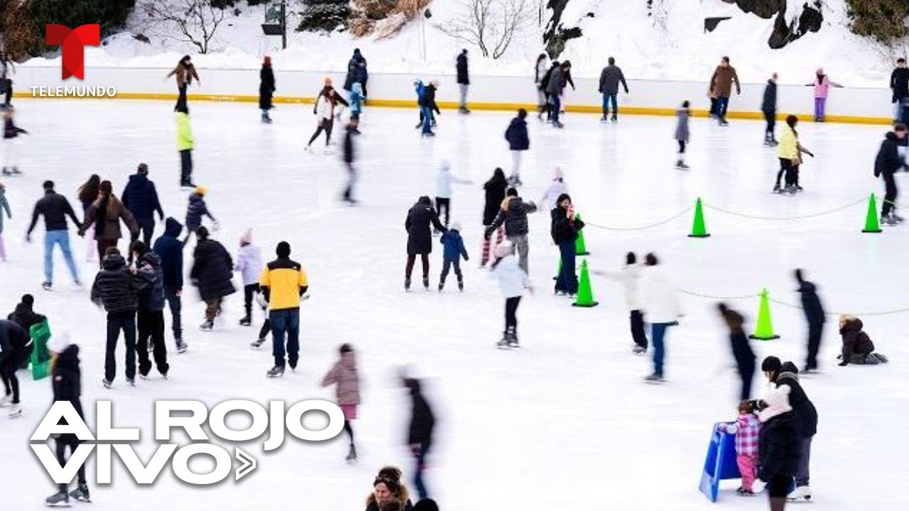 EN VIVO: La nieve transforma Central Park en un patio de juegos para los neoyorquinos