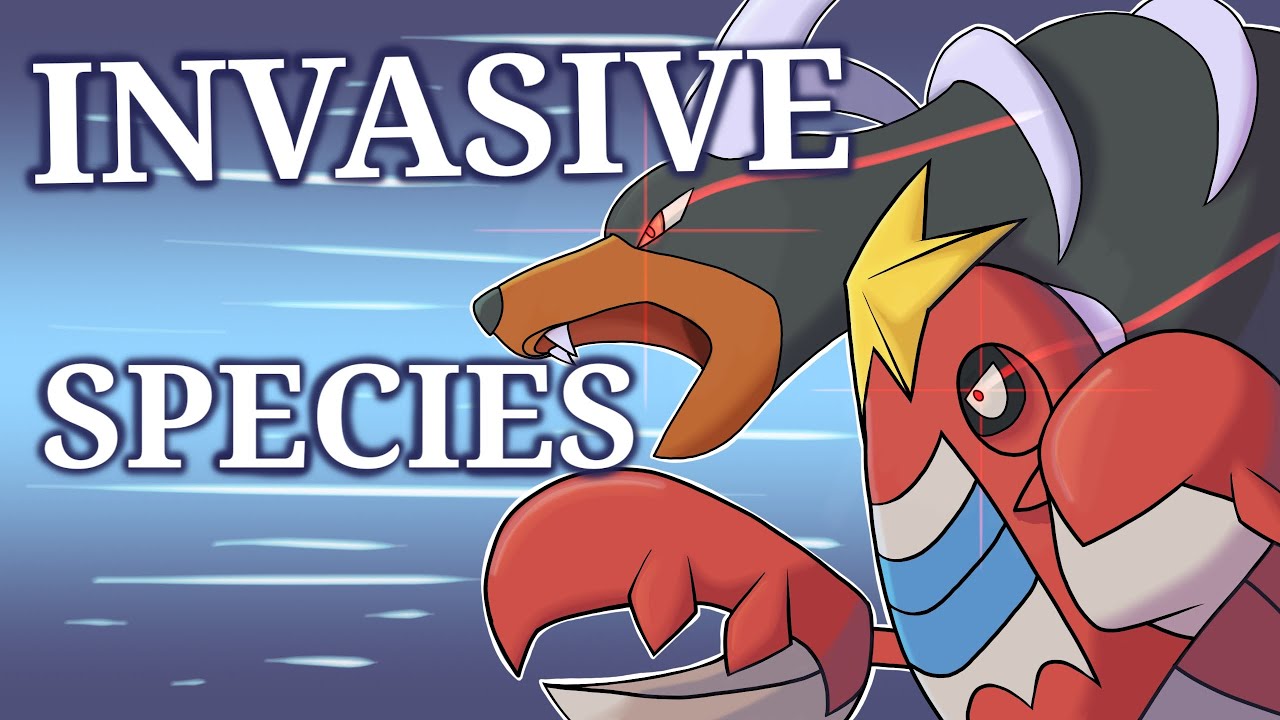Every Secret Home Region of Pokemon