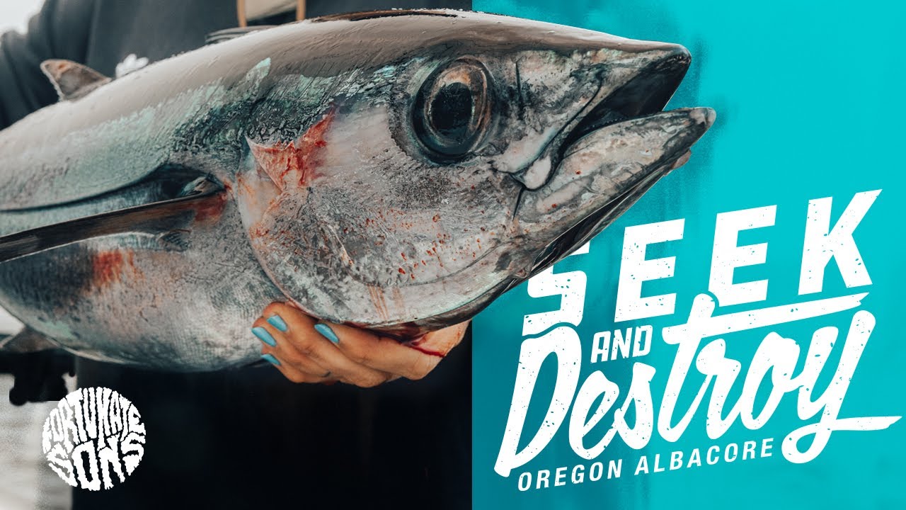 Oregon Coast Albacore Fishing 