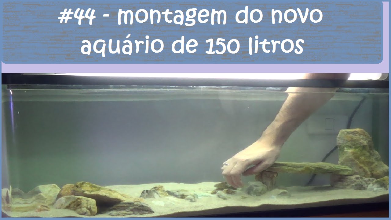 Montagem do novo aquário de 150 litros
